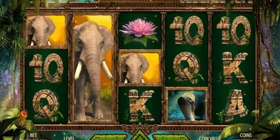 Jungle Spirit Call Of The Wild - Giochi Online e Non Solo