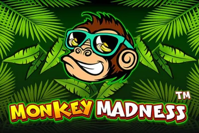 Monkey Madness Slot Machine - Giochi Online e Non Solo