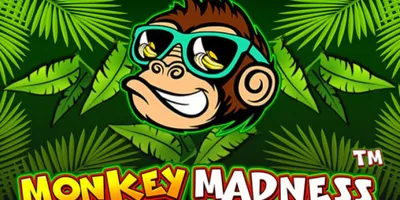 Monkey Madness Slot Machine - Giochi Online e Non Solo